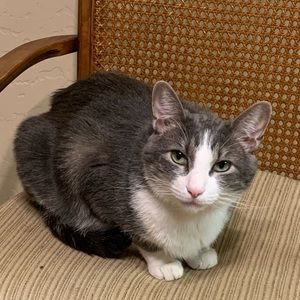 Meet your Posher, Alison